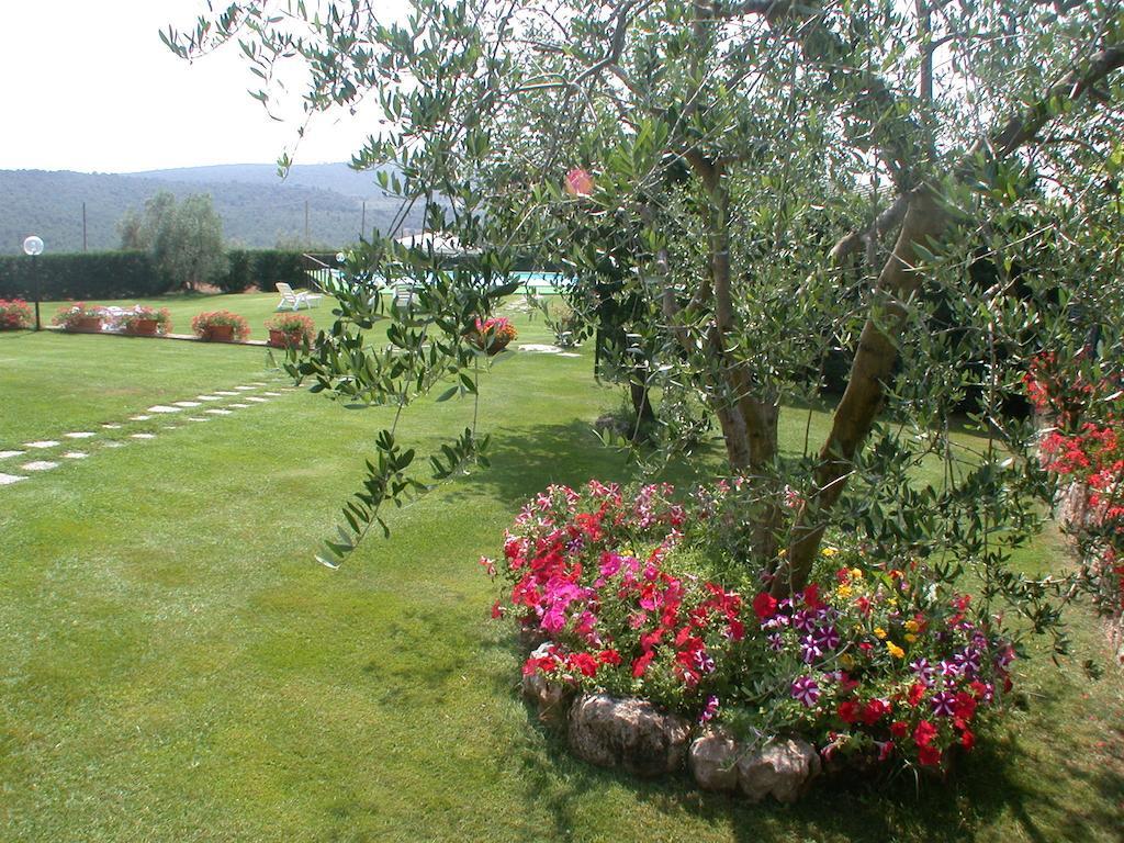 Agriturismo Arnano ソヴィチッレ エクステリア 写真